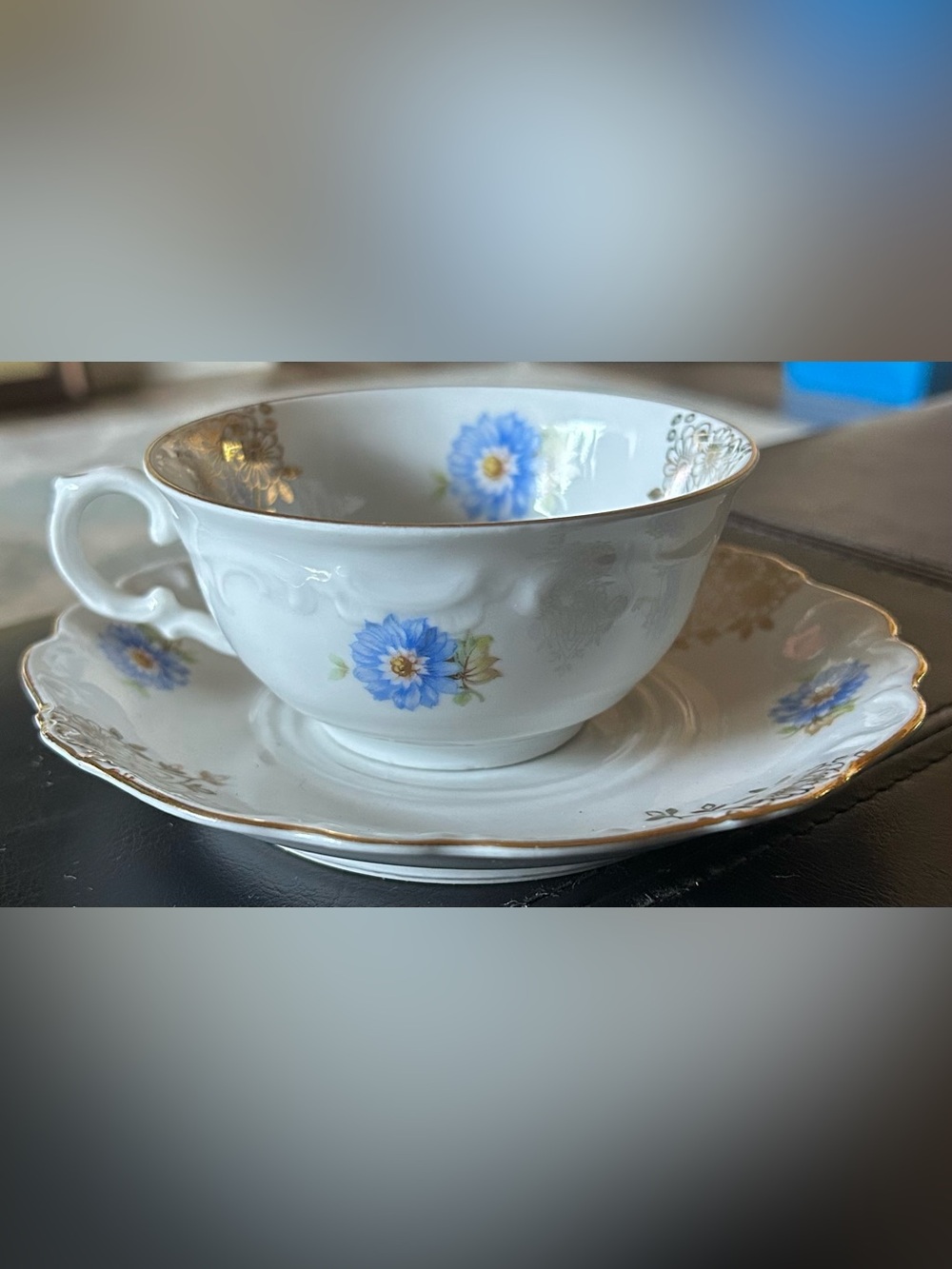 Porcelain Bavaria Teacup and Saucer Set with Blue Floral Accent